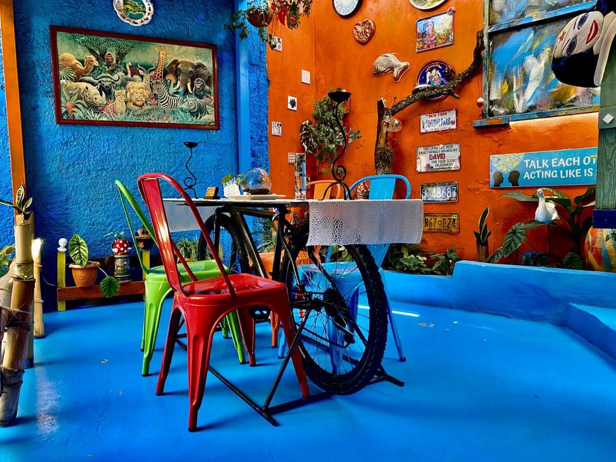 ホテル El Patio Azul コンスタンサ エクステリア 写真